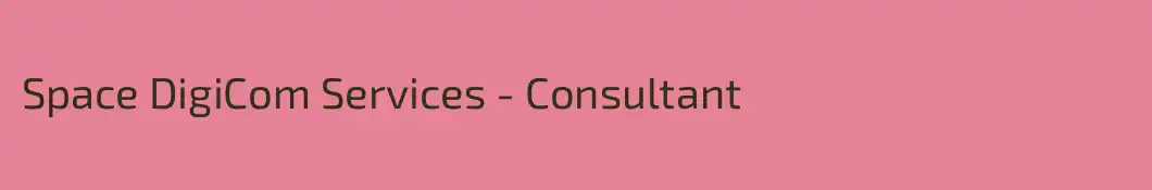 Space DigiCom Services - Consultant